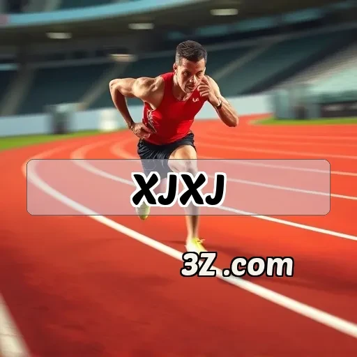 xjxj.com Simulação